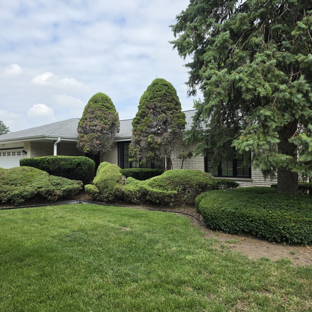 7644 Cashew Drive