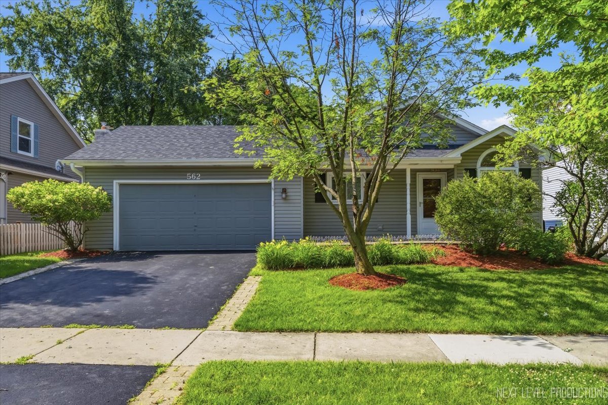 562 Roxbury Drive