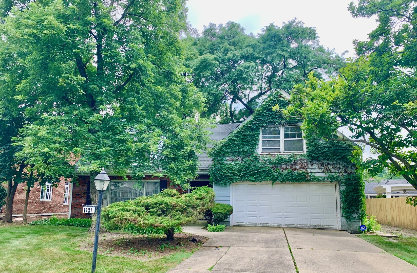 1131 Park Lane