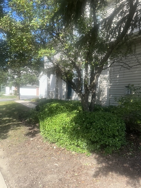 371 Evergreen Circle